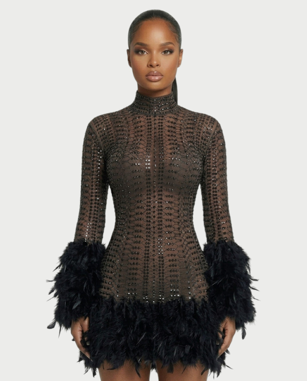 VINA Sheer Crystal Feather Trim Mini Dress