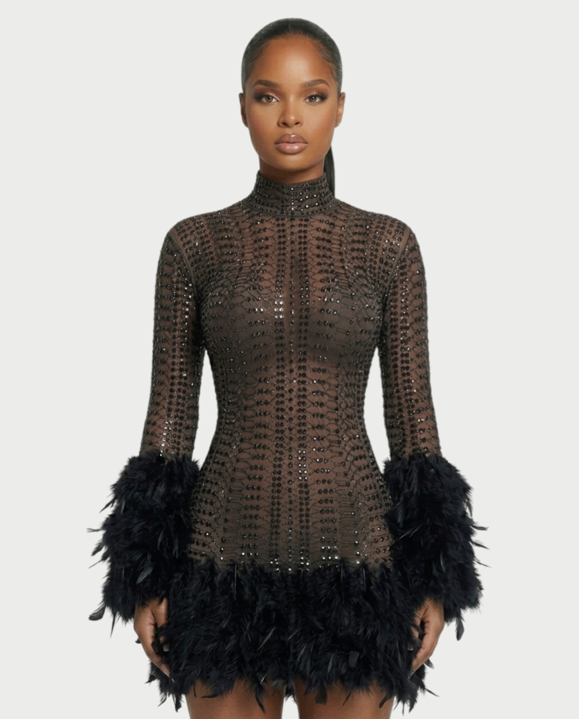 VINA Sheer Crystal Feather Trim Mini Dress