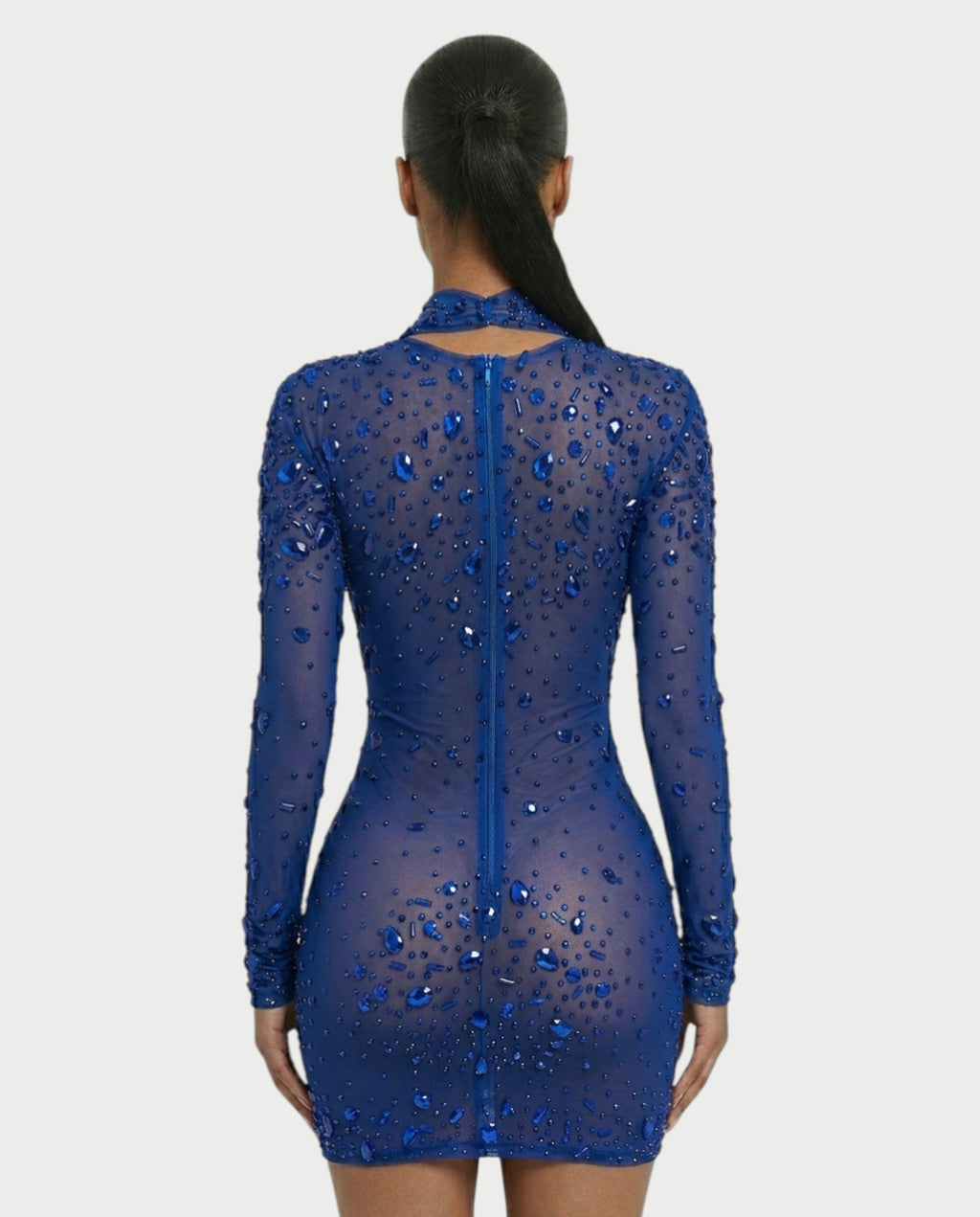 ROLANE Sheer Mesh Rhinestone Embellished Bodycon Mini Dress