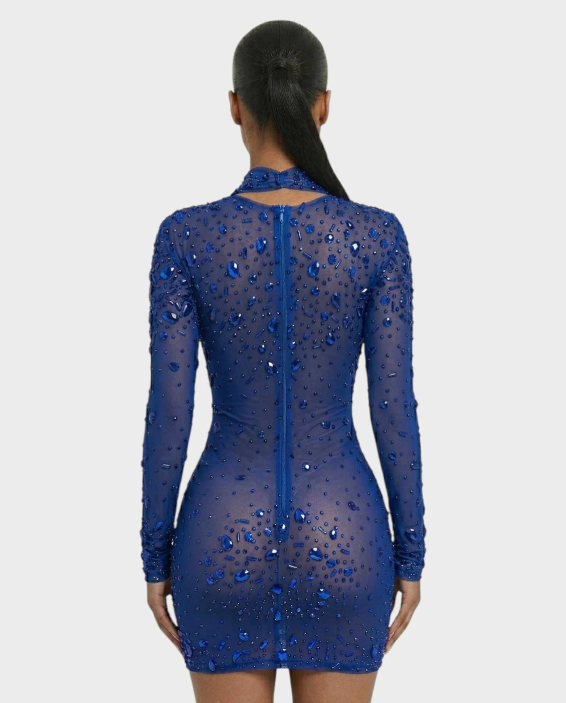ROLANE Sheer Mesh Rhinestone Embellished Bodycon Mini Dress
