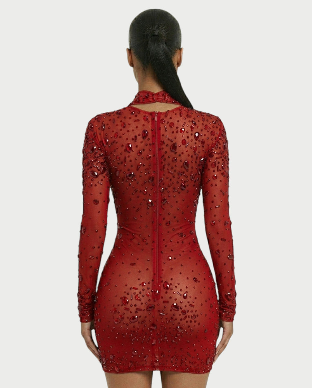 ROLANE Sheer Mesh Rhinestone Embellished Bodycon Mini Dress