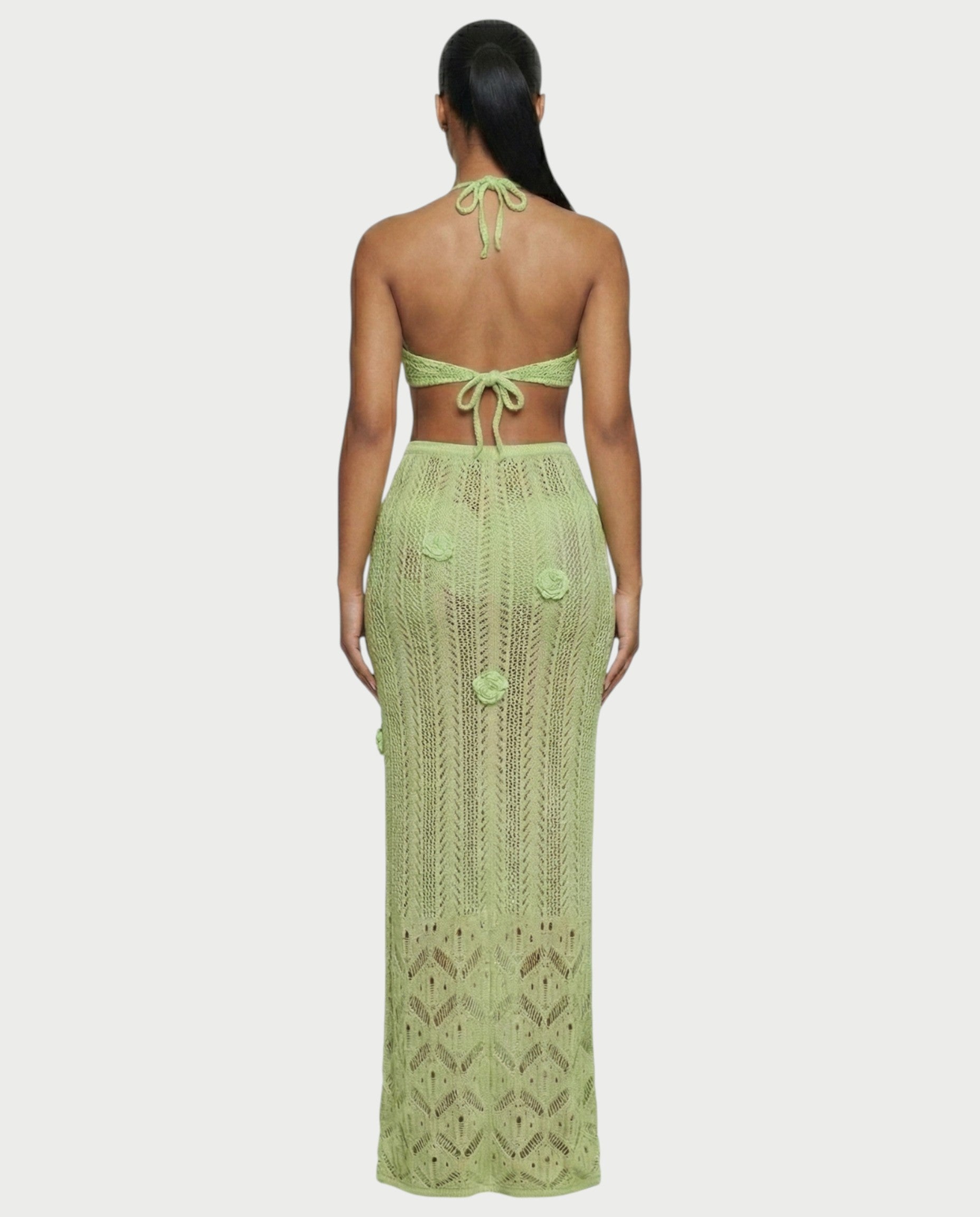 BERYN Crochet Rose Halter Top & Maxi Skirt Set