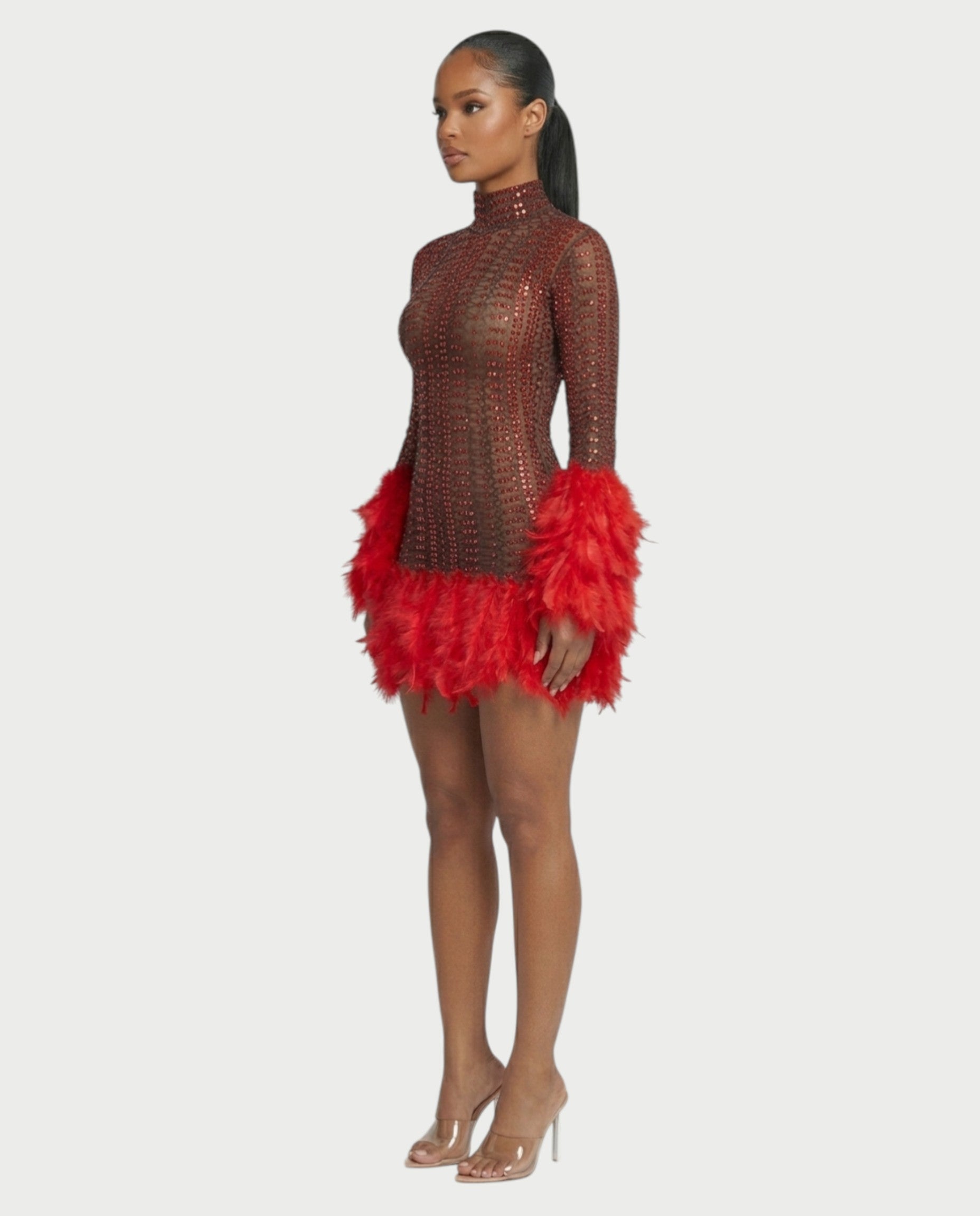 VINA Sheer Crystal Feather Trim Mini Dress