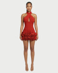 HASELY Rose Appliqué Halter Corset Mini Dress