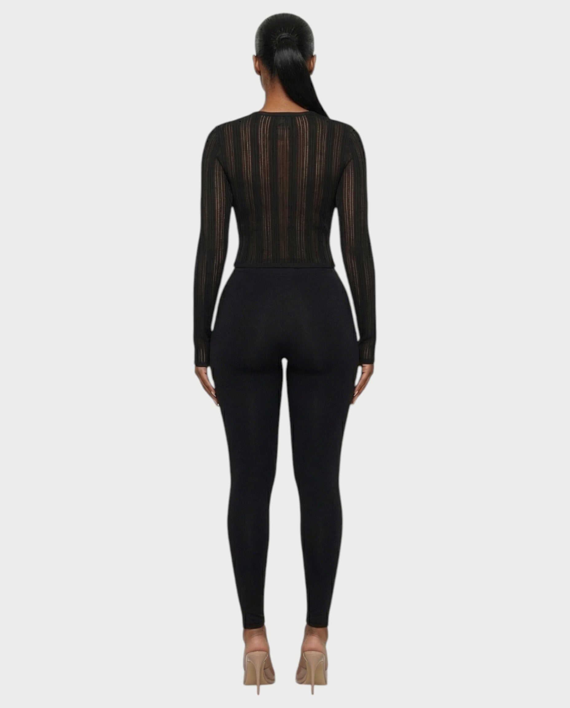 ZADIE Sheer Ribbed Knit Long Sleeve Top