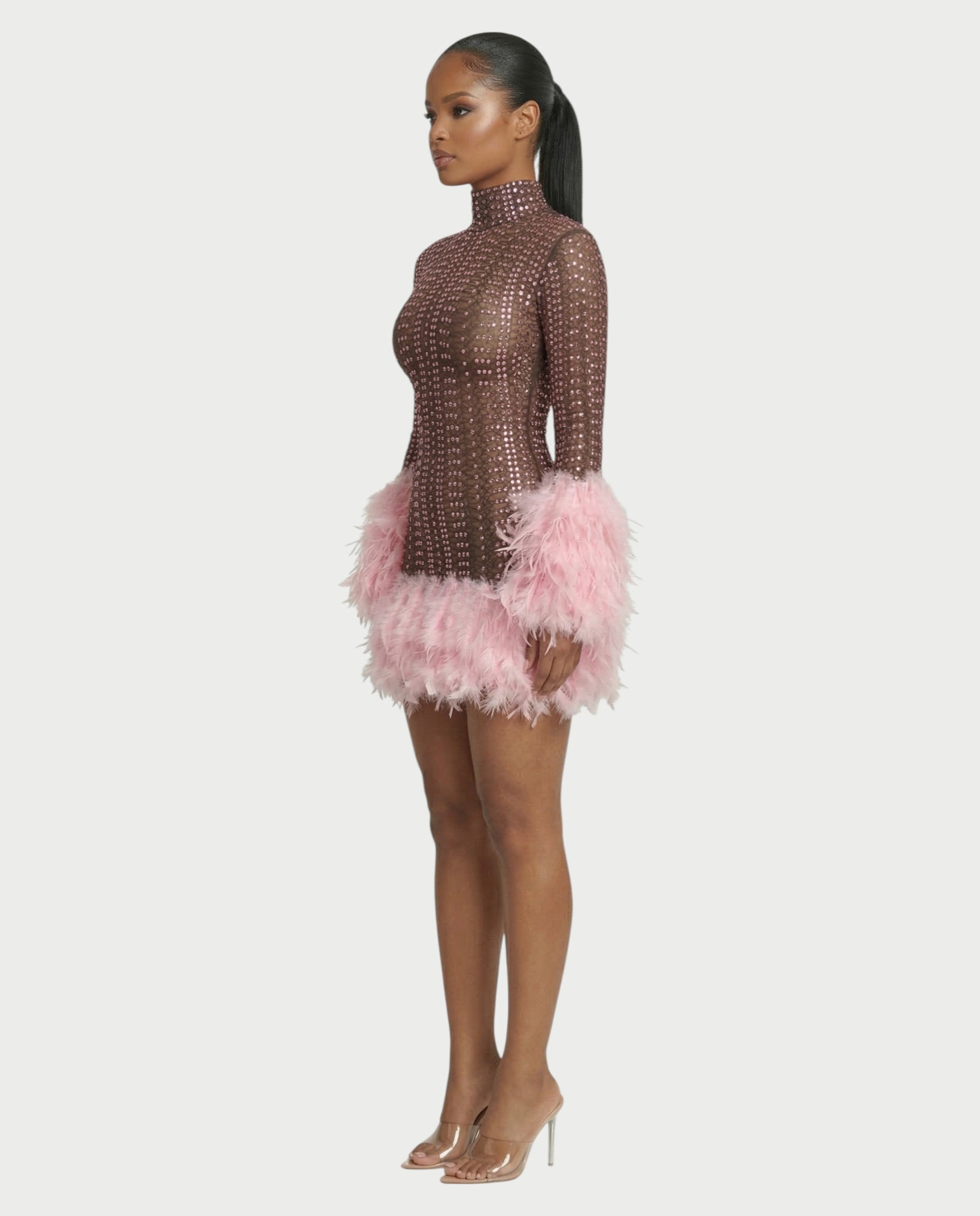 VINA Sheer Crystal Feather Trim Mini Dress