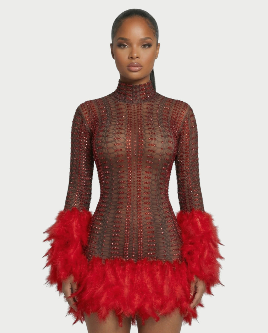 VINA Sheer Crystal Feather Trim Mini Dress