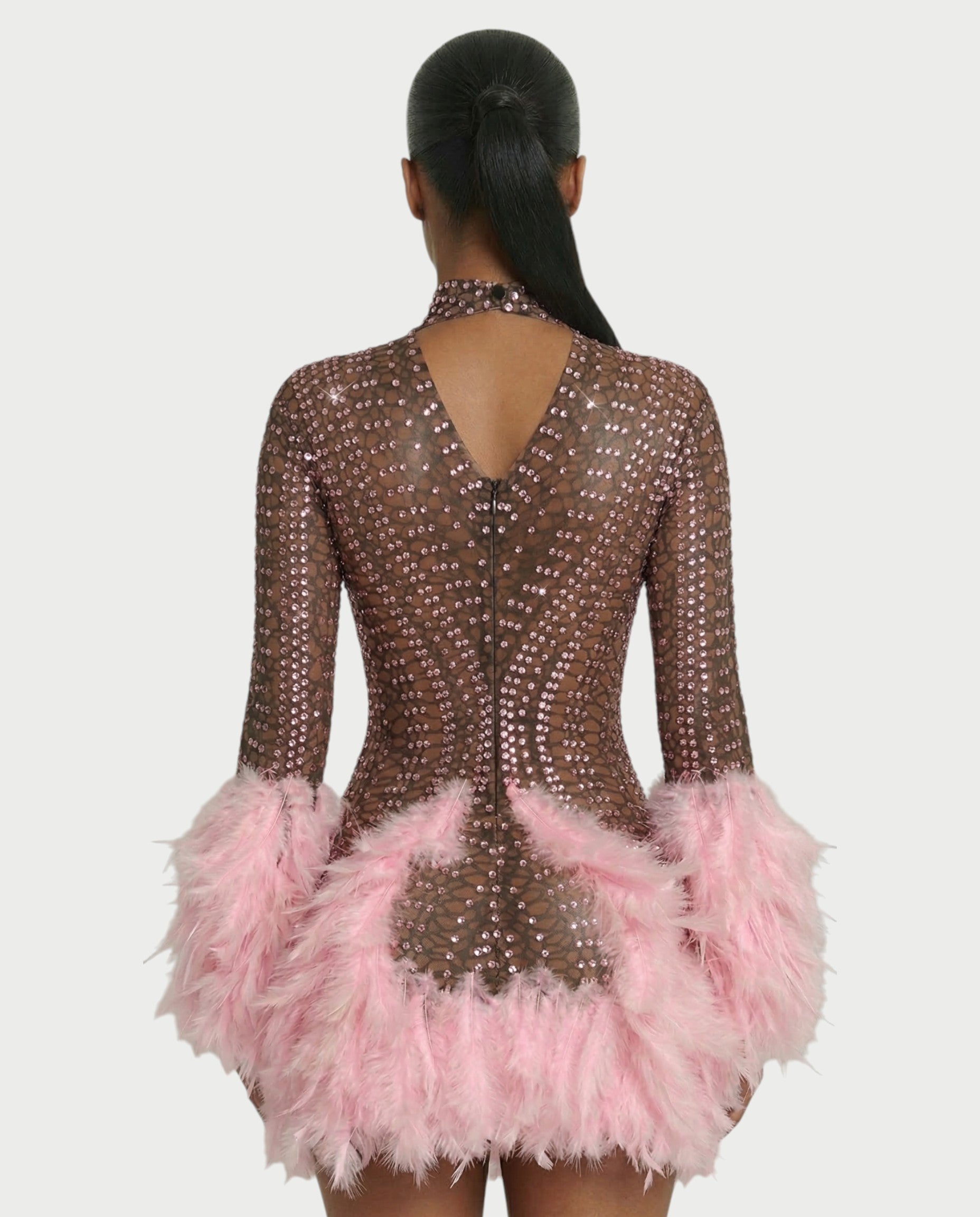VINA Sheer Crystal Feather Trim Mini Dress