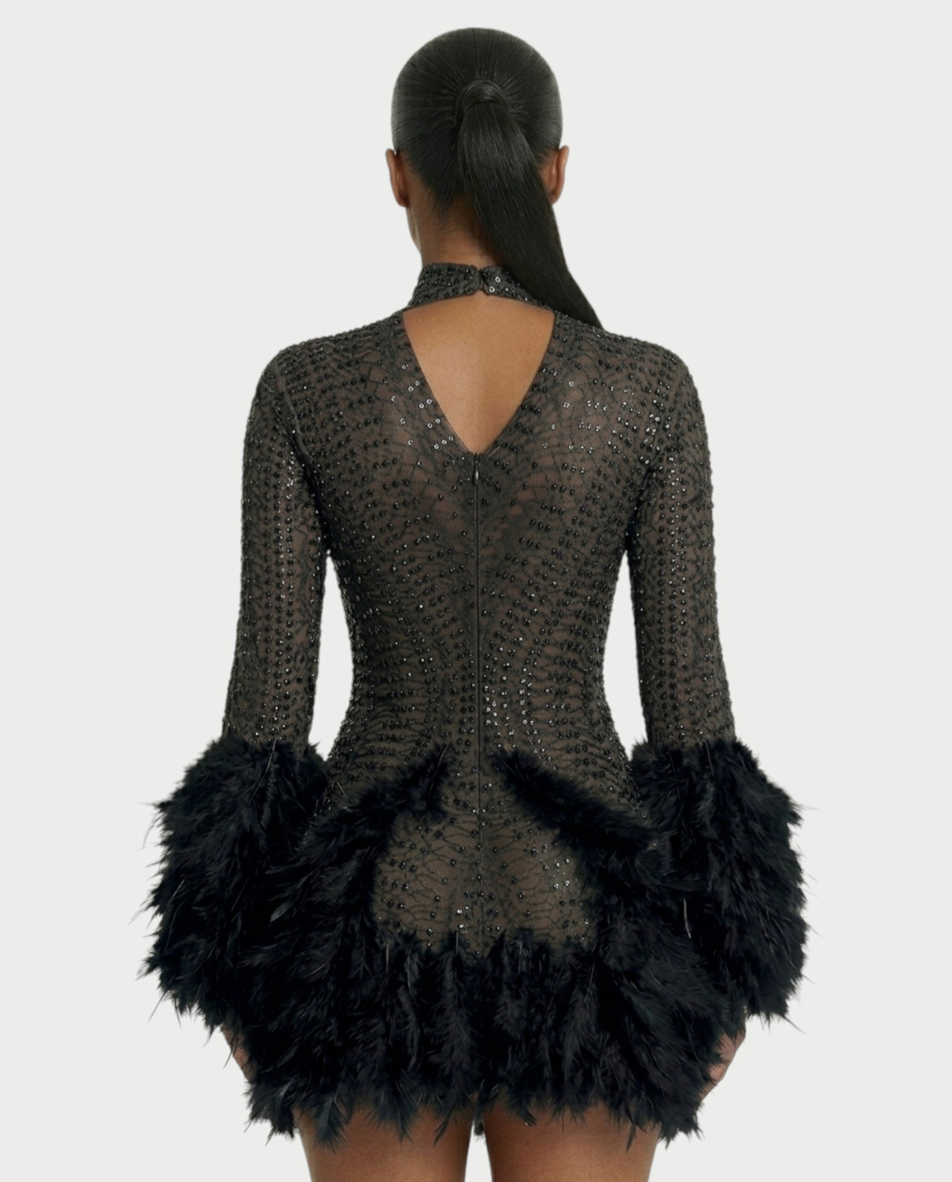 VINA Sheer Crystal Feather Trim Mini Dress