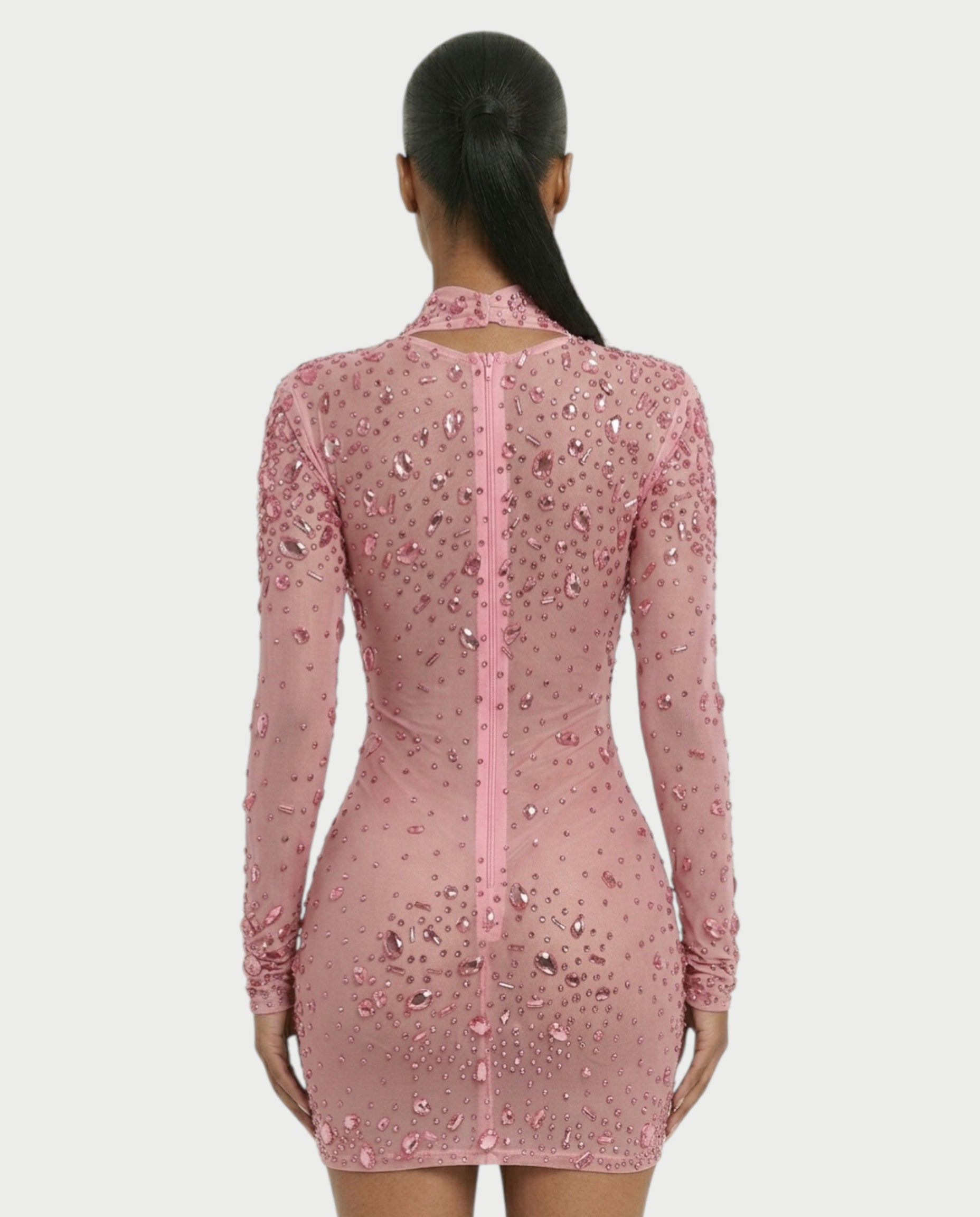 ROLANE Sheer Mesh Rhinestone Embellished Bodycon Mini Dress