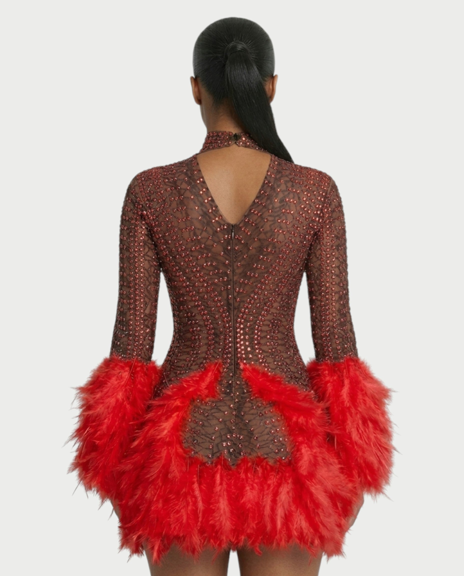 VINA Sheer Crystal Feather Trim Mini Dress