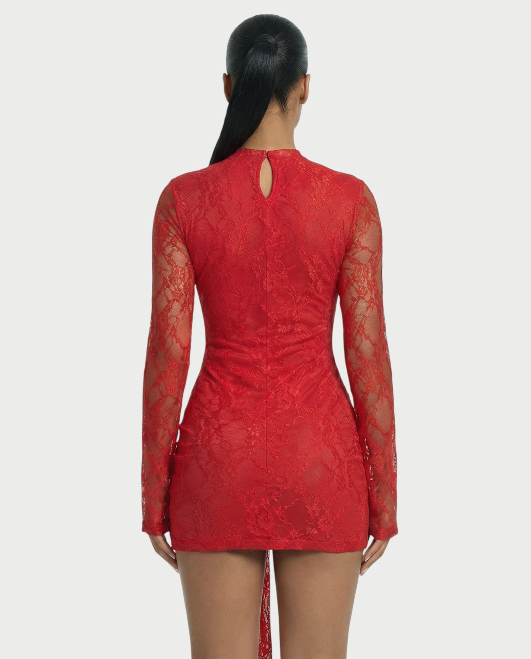 CELISE Sheer Lace Ruched Long-Sleeve Mini Dress