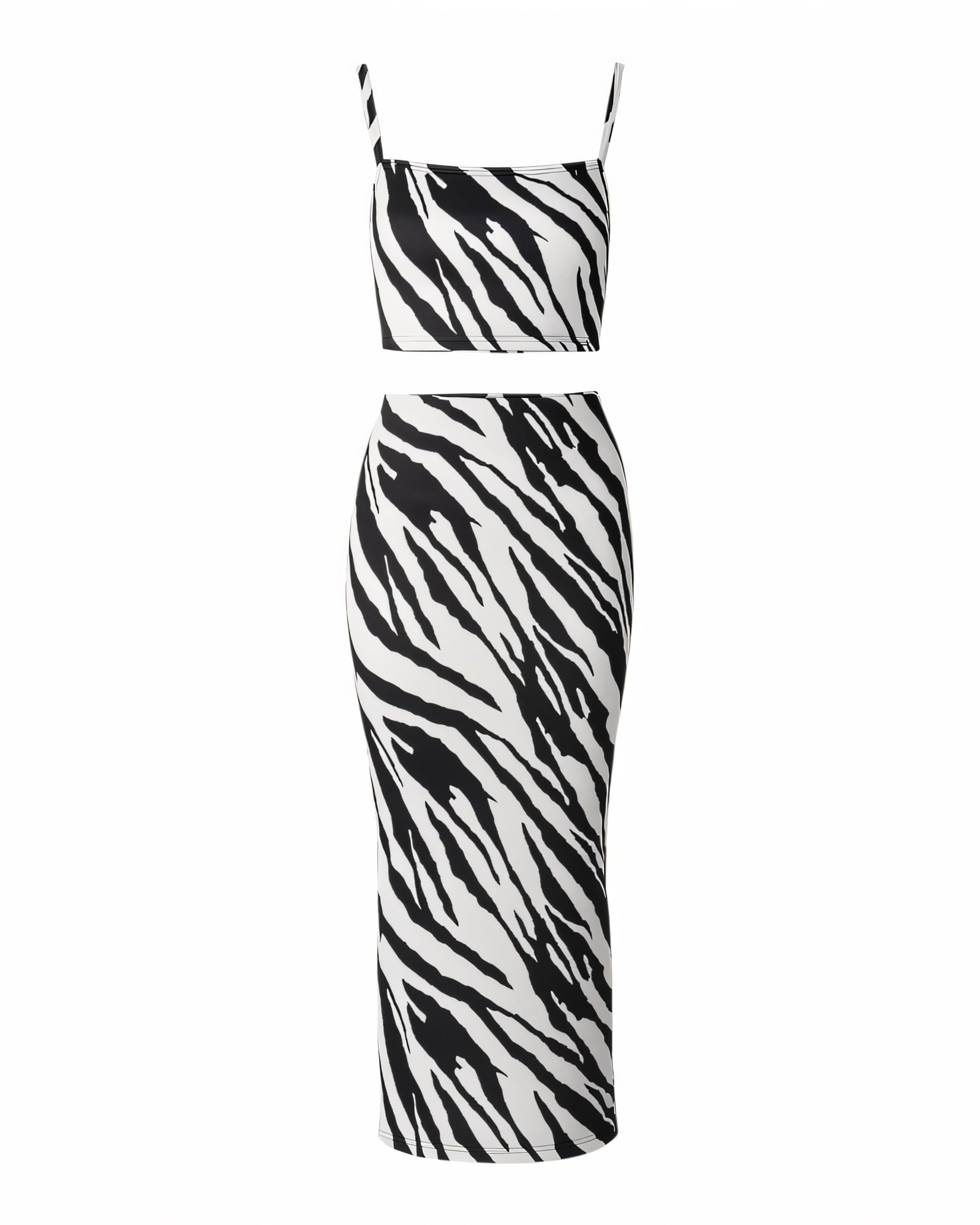 CLARIS Zebra Print Crop Top and Maxi Skirt Set